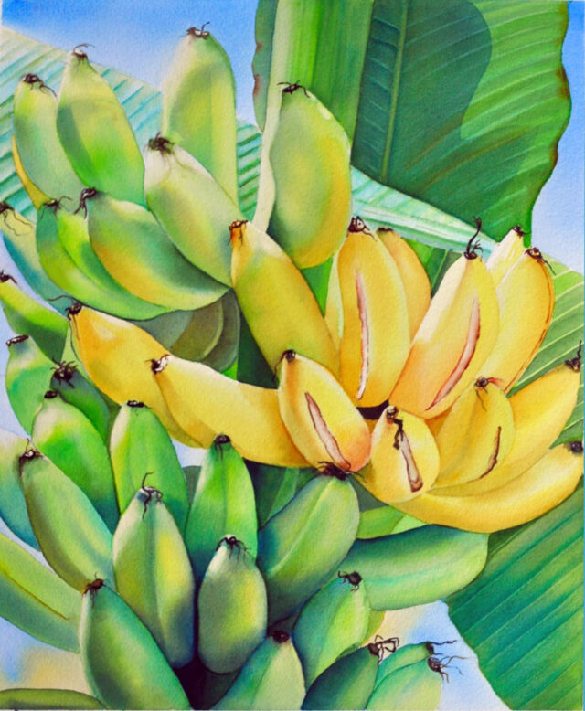 Banana Split by Artist Carmen Gardner